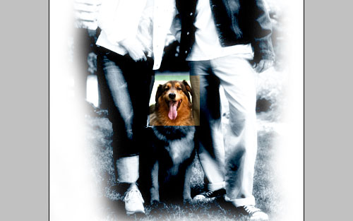 Making an Accent on Photo Image 14