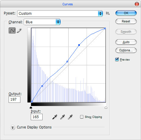 Color Correction Photos Image 10
