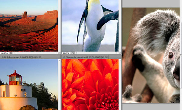 Photoshop Interface Explained (Part 1)