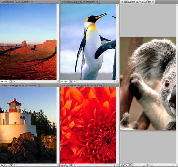 Photoshop Interface Explained 5 Photoshop Interface Explained 5