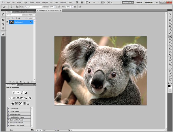 Photoshop Interface Explained 4 Photoshop Interface Explained 4