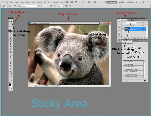 Photoshop Interface Explained 1 Photoshop Interface Explained 1