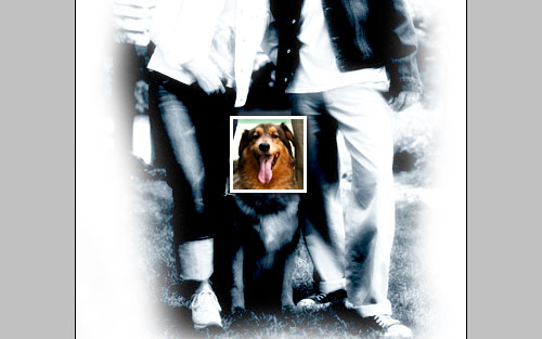 Making an Accent on Photo Image 17